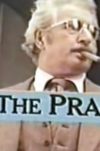 Poster de Série The Practice (1976)