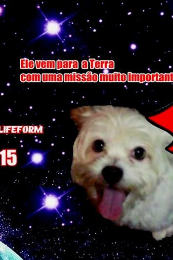  de Curta G.I.L. (2015)