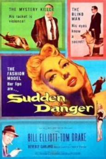 Poster de Filme Sudden Danger (1955)