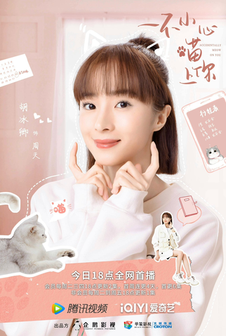 Poster 5 de Série Accidentally Meow On You (2022)