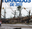 Testemunhas dos Tornados de 2011