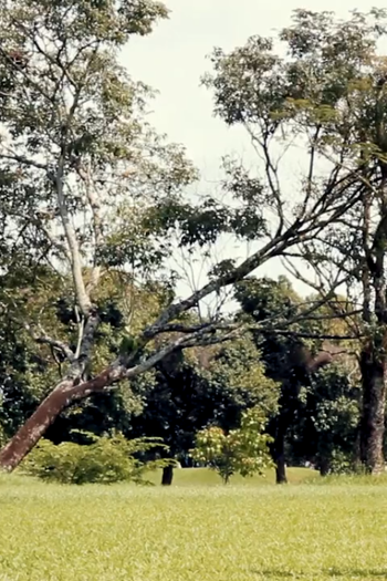  de Curta O Grande Clube (2016)