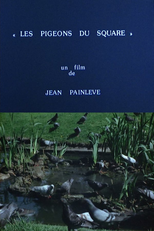 Os Pombos do Parque (Les Pigeons du Square)
