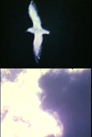 Poster 1 de Curta Migration (1969)