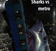 Sharks vs Metro