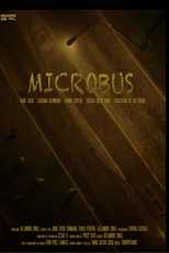 PUBLIC TRANSPORT (MICROBÚS)