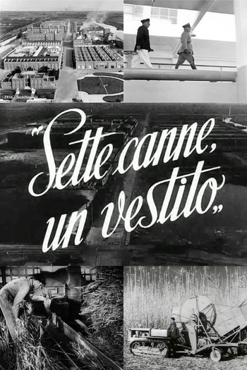  de Curta Sete Juncos, um Vestido (1949)