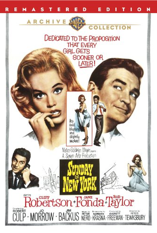 Poster 1 de Filme Um Domingo em Nova York (1963)
