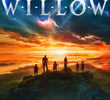Willow