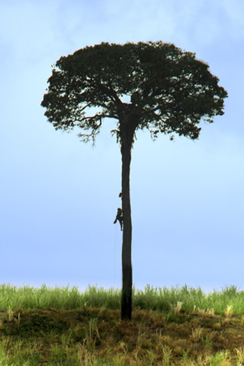  de Curta História Natural (2014)