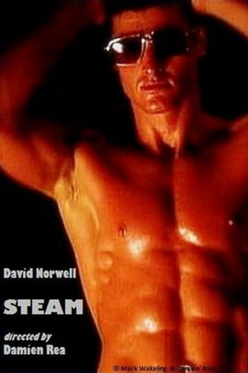 Poster de Curta Vapor (2008)