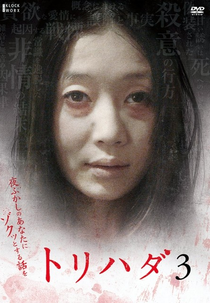 Torihada 3 (トリハダ 3)