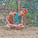 Foto de perfil de André Guilherme