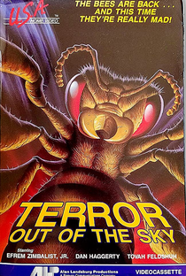 O Terror que Vem do Céu - Poster / Capa / Cartaz - Oficial 1