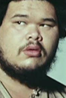 Fu Hung Cheng - Poster 1