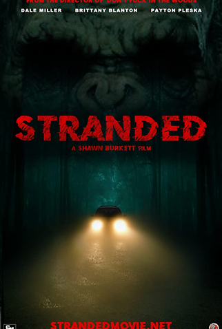 Poster 1 de Filme Stranded (2020)