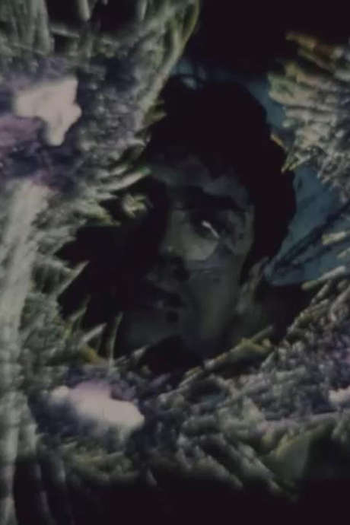 Poster de Curta Dellamorte Dellamorte Dellamore (2000)