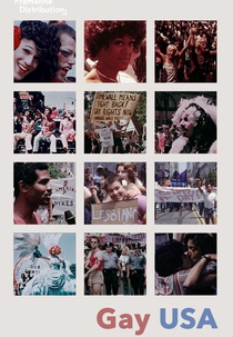 Gay USA (Gay USA)