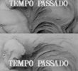 Tempo Passado