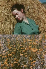 The Leaden Echo and the Golden Echo (The Leaden Echo and the Golden Echo)