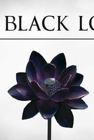 Black lotus video