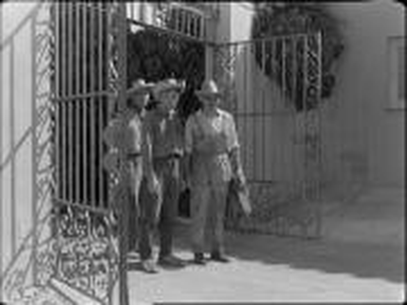 Foto 11 de Homens e Bestas