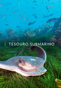 Tesouro Submarino (Tesouro Submarino)