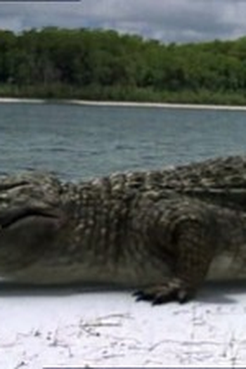 Poster de Episódio SuperCroc (2006)
