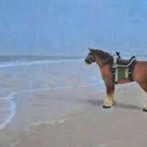 Foto de perfil de Qagistrike