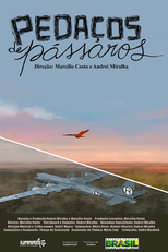 Pedaços de Pássaros (Pedaços de Pássaros)