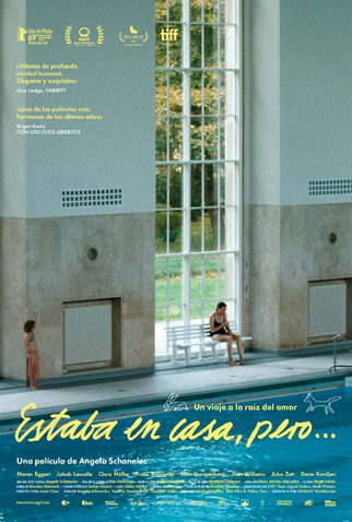 Poster 3 de Filme Eu Estava em Casa, Mas... (2019)