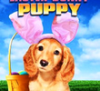 An Easter Bunny Puppy