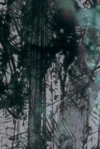 Poster 1 de Curta Surfacing (2004)