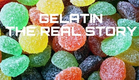 Gelatin - The Real Story