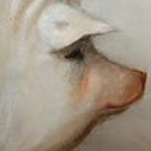 Foto de perfil de Le Grase