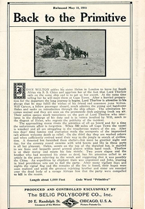 Back to the Primitive (Back to the Primitive)