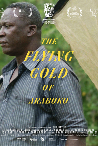 Poster 1 de Curta As borboletas de Arabuko (2020)