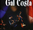 Acústico MTV - Gal Costa