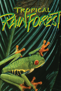 Tropical Rainforest - Poster / Capa / Cartaz - Oficial 1