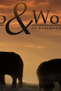 Wild and Woolly: An Elephant and his Sheep - Poster / Capa / Cartaz - Oficial 2