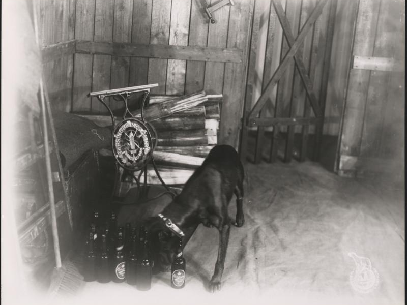 Foto 2 de Four-legged Sherlock Holmes