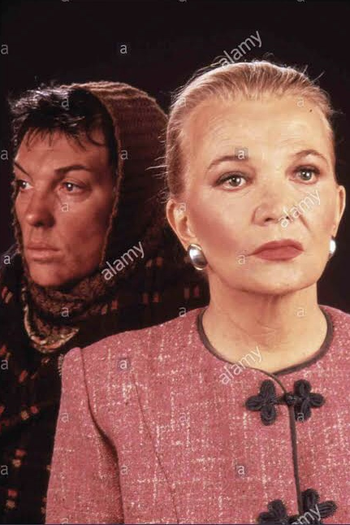 Poster de Filme Face a Face com a Vida (1991)