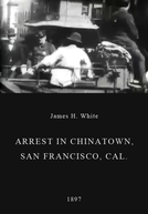 Arrest in Chinatown, San Francisco, Cal. (Arrest in Chinatown, San Francisco, Cal.)