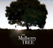 The Mulberry Tree