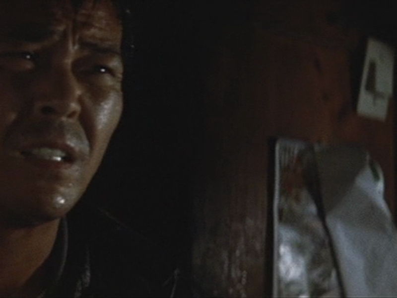 Foto 5 de Terra Natal