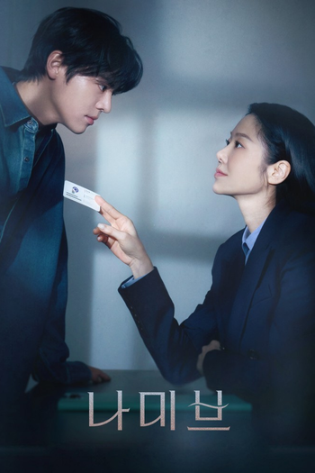 Poster de Franquia 나미브 (2024)
