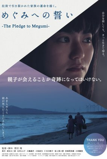 The Pledge to Megumi - Poster / Capa / Cartaz - Oficial 1