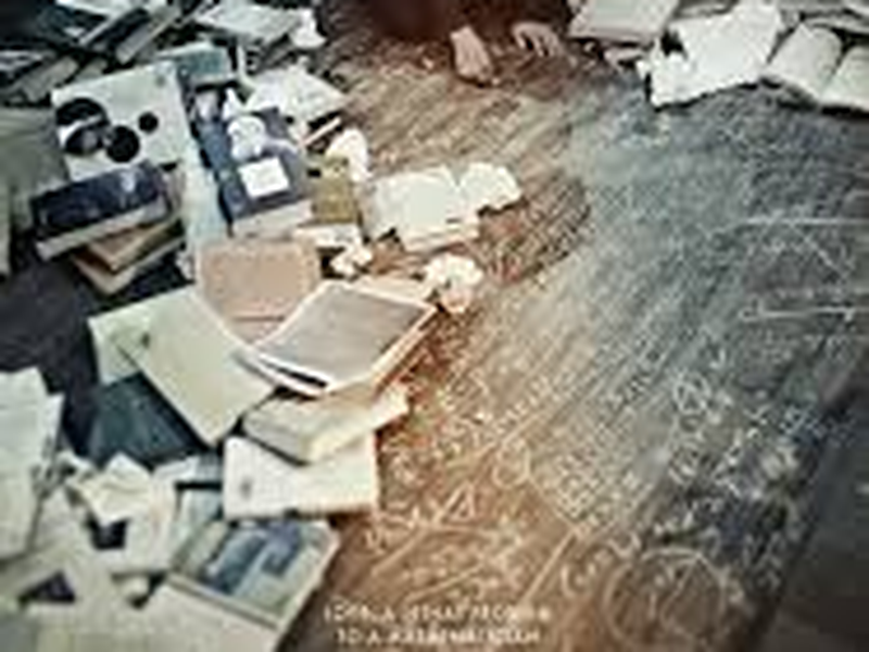 Foto 1 de Perfect Number