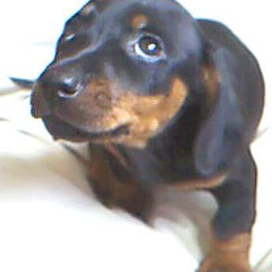 Foto de perfil de Adriana