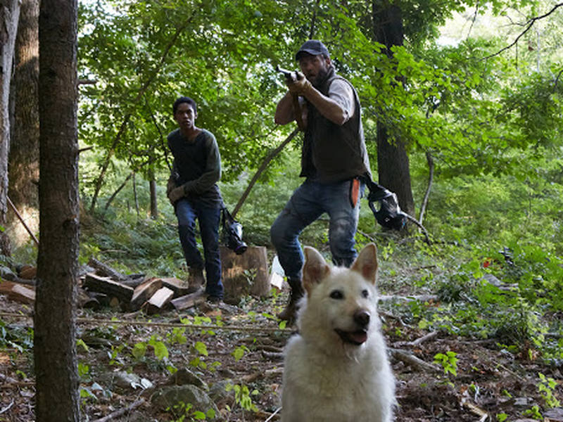Foto 1 de Ao Cair da Noite